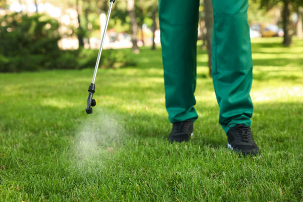 Best Best Pest Control Companies  in Haltom City, TX