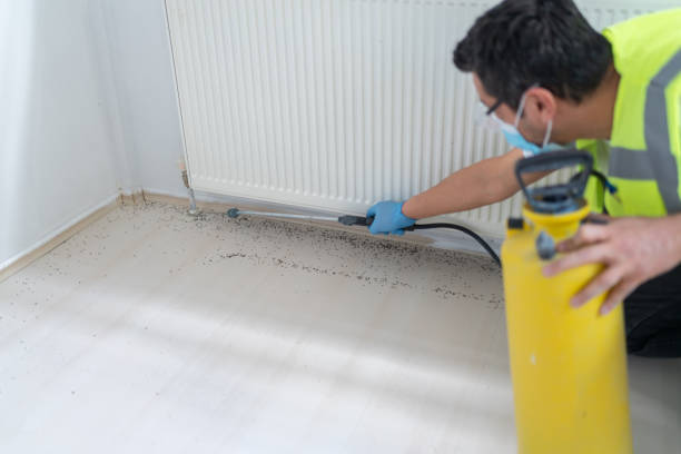 Insect Control in Haltom City, TX